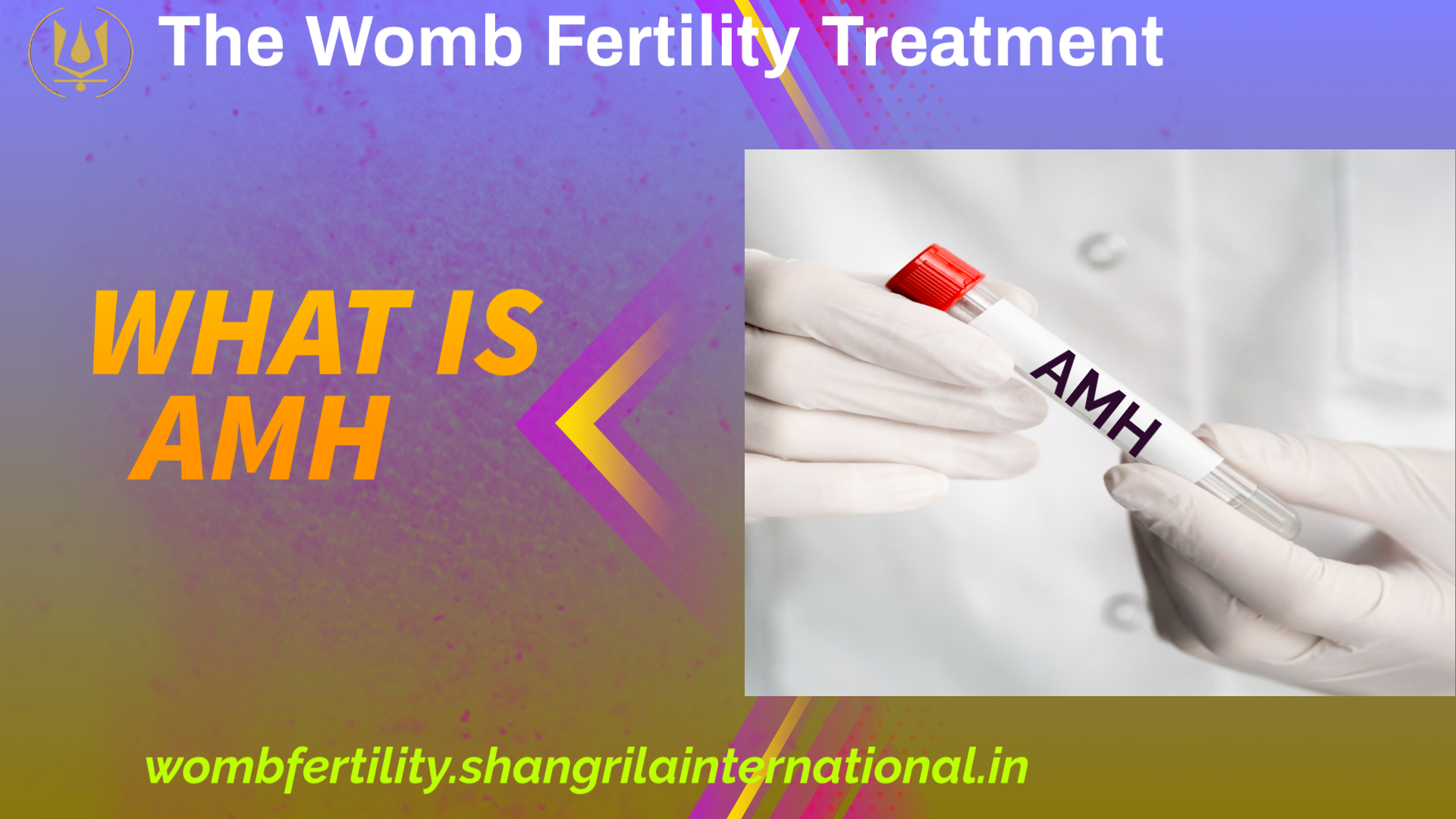 Amh Ratchada What Is AMH? – The Womb Fertility Treatment